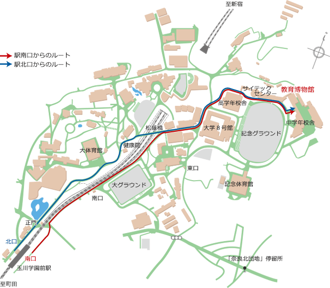 玉川学園前駅から教育博物館への行き方:玉川学園前駅南口を出て線路を左手にしてまっすぐ歩き、左手に松陰橋があるT字路にぶつかったら右折します。すぐに大学8号館にさし当たるので左折し、大学8号館の奥に見える高学年校舎の校舎沿いにある道を右折してからまっすぐ進むと教育博物館に到着します。