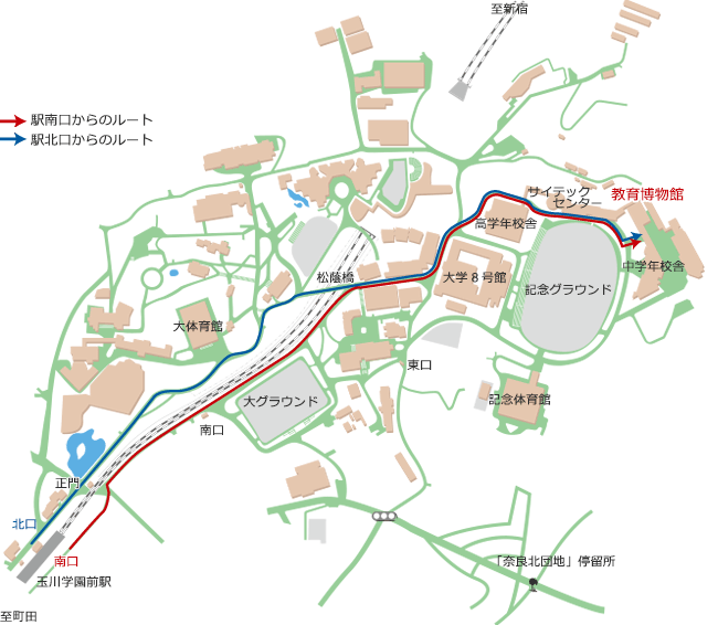 玉川学園前駅から教育博物館への行き方:玉川学園前駅南口を出て線路を左手にしてまっすぐ歩き、左手に松陰橋があるT字路にぶつかったら右折します。すぐに大学8号館にさし当たるので左折し、大学8号館の奥に見える高学年校舎の校舎沿いにある道を右折してからまっすぐ進むと教育博物館に到着します。