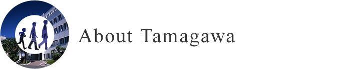 About Tamagawa