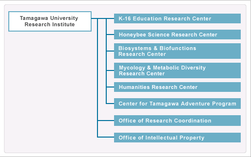 Tamagawa University Research Institute, K-16 Education Research Center, Honeybee Science Research Center ,Biosystems & Biofunctions Research Center, Mycology & Metabolic Diversity Research Center, Humanities Research Center, Center for Tamagawa Adventure Program, Office of Research Coordination, Office of Intellectual Property