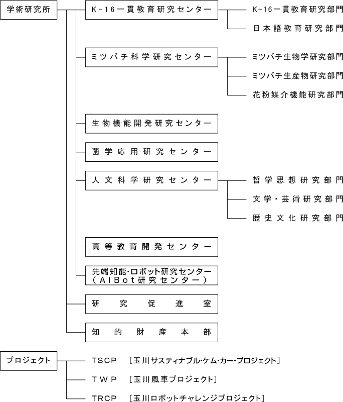 学術研究所には、K-16一貫教育研究センター、ミツバチ科学研究センター、生物機能開発研究センター、菌学応用研究センター、人文科学研究センター、高等教育開発センター、先端知能・ロボット研究センター(AIBot 研究センター)、研究促進室、知的財産本部があります。K-16一貫教育研究センターには、K-16一貫教育研究部門、日本語教育研究部門、ミツバチ科学研究センターには、ミツバチ生物学研究部門、ミツバチ生産物研究部門、花粉媒介機能研究部門、人文科学研究センターには、哲学思想研究部門、文学・芸術研究部門、歴史文化研究部門があります。学術研究所のプロジェクトとして、TSCP(Tamagawa Sustainable Chemistry-powered-vehicle Project)、TWP(Tamagawa Windmill Project)、TRCP(Tamagawa Robot Challenge Project)があります。