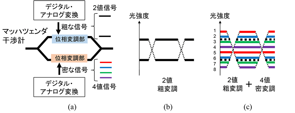 図1 (a)提案手法の構成と(b),(c)動作原理を示す光強度波形