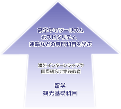 入学してから順に、観光基礎科目、留学、海外インターンシップや国際研究で実践教育、高学年でツーリズム運輸などの専門科目を学ぶ。