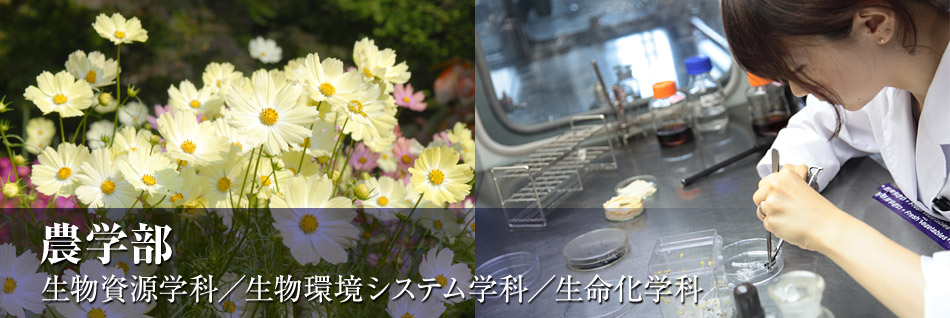 文学部 「ちょっと知的な楽しい時間」学生企画のコミュニティ