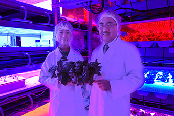 未来型農業システムのカタチが見えてくる「Future Sci Tech Lab」の7年間 【12月13日(水) NHK「探検バクモン」放送予定】