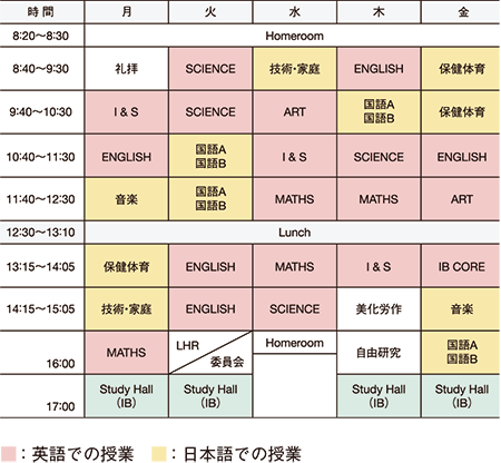 7年生