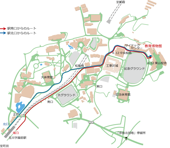 玉川学園前駅から教育博物館への行き方：玉川学園前駅南口を出て線路を左手にしてまっすぐ歩き、左手に松陰橋があるT字路にぶつかったら右折します。すぐに大学8号館にさし当たるので左折し、大学8号館の奥に見える高学年校舎の校舎沿いにある道を右折してからまっすぐ進むと教育博物館に到着します。