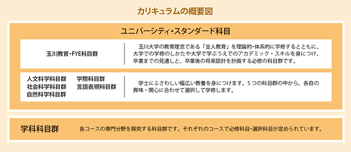 カリキュラムの概要図