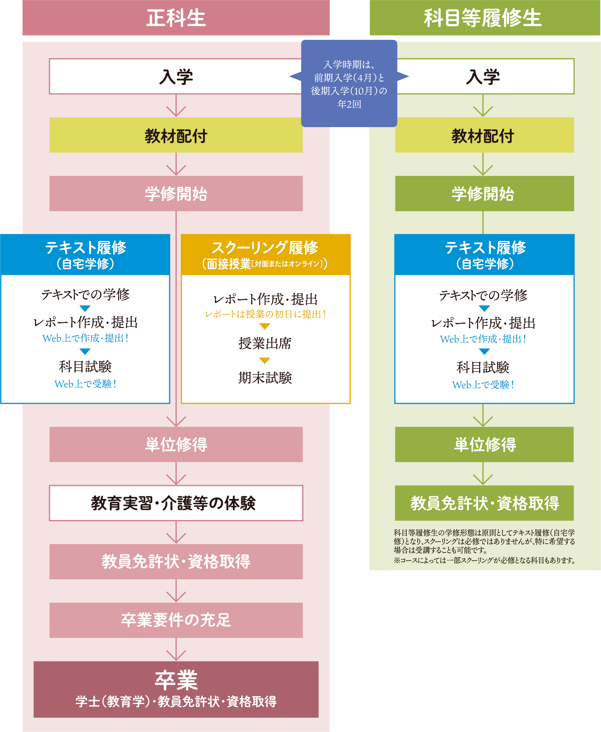 入学から単位修得・卒業までの流れ