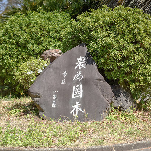 「きれいな心 よい頭 つよい体」