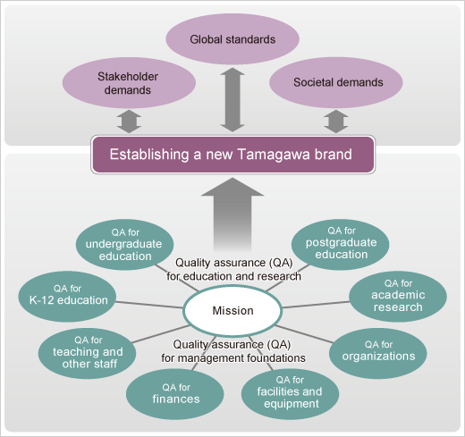 QA for postgraduate education, QA for undergraduate education , QA for academic research, QA for K-12 education, QA for organizations, Qa for teaching and other staff, Qa for facilities and equipment, Qa for finances, Quality assurance(QA) for education and research, Mission, Quality assurance(QA) for managemant foundations, Establishing a new Tamagawa brand, Stakeholder demands, Global standards, Societal demands