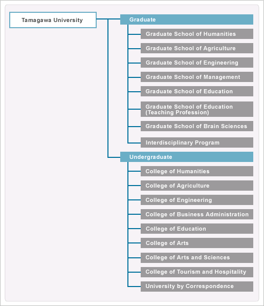 Tamagawa University - Graduate (Graduate School of Humanities, Graduate School of Agriculture, Graduate School of Engineering, Graduate School of Management, Graduate School of Education, Graduate School of Education (Teaching Profession), Graduate School of Brain Sciences, Interdisciplinary Program). Tamagawa University - Undergraduate (College of Humanities, College of Agriculture, College of Engineering, College of Business Administration, College of Education, College of Arts, College of Arts and Sciences, College of Tourism and Hospitality, University by Correspondence)