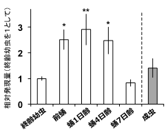 図1. 発生過程に伴う脳内Egrの発現変動