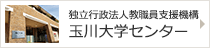 独立行政法人教職員支援機構玉川大学センター