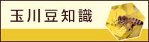 玉川豆知識