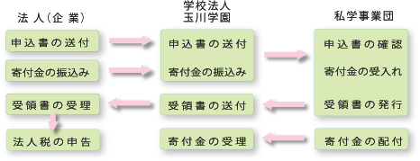 法人(企業)が学校法人玉川学園へ申込書の送付。学校法人玉川学園から私学事業団へ申込書の送付。私学事業団にて申込書の確認・寄付金の受入れが行われ、私学事業団から受領書の発行が学校法人玉川学園へ行われる。学校法人玉川学園は受領書の送付を法人(企業)へ行い、法人(企業)にて受領書の受理が行われ法人税の申告がされる。法人(企業)より学校法人玉川学園へ、学校法人玉川学園から私学事業団へ寄付金の振込みが行われる。私学事業団より寄付金の配布がされ、学校法人玉川学園で寄付金の受理が行われる。
