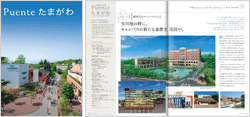 Puente 2013.06 vol.3