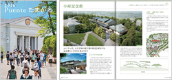 Puente 2016.06 vol.6