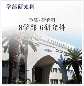 学部・研究科 8学部 6研究科