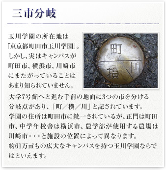 三市分岐 玉川学園の所在地は「東京都町田市玉川学園」。しかし、実はキャンパスが町田市、横浜市、川崎市にまたがっていることはあまり知られていません。大学7号館へと進む手前の地面に3つの市を分ける分岐点があり「町／横／川」と記されています。学園の住所は町田市に統一されているが、正門は町田市、中学年校舎は横浜市、農学部が使用する農場は川崎市・・・と施設の位置によって異なります。約61万平方メートルもの広大なキャンパスを持つ玉川学園ならではといえます。