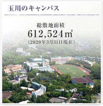 見て分かる玉川 玉川学園について 玉川学園