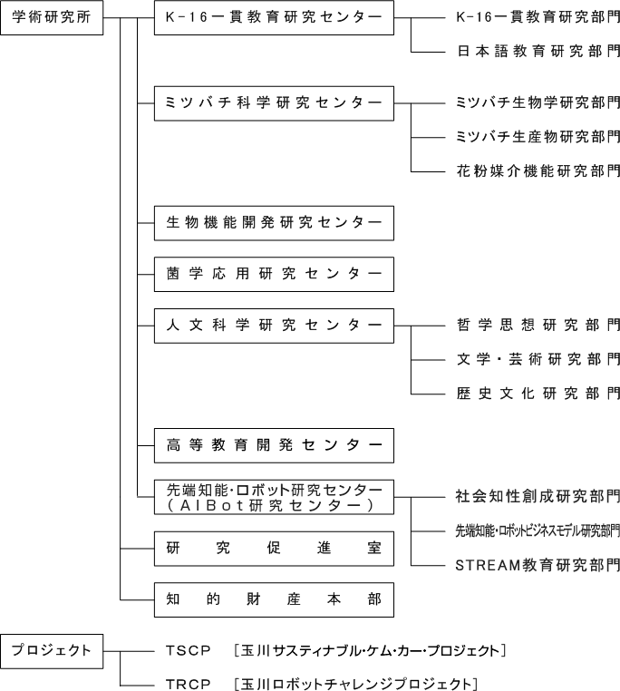 学術研究所には、K-16一貫教育研究センター、ミツバチ科学研究センター、生物機能開発研究センター、菌学応用研究センター、人文科学研究センター、高等教育開発センター、先端知能・ロボット研究センター(AIBot 研究センター)、研究促進室、知的財産本部があります。K-16一貫教育研究センターには、K-16一貫教育研究部門、日本語教育研究部門、ミツバチ科学研究センターには、ミツバチ生物学研究部門、ミツバチ生産物研究部門、花粉媒介機能研究部門、人文科学研究センターには、哲学思想研究部門、文学・芸術研究部門、歴史文化研究部門があります。学術研究所のプロジェクトとして、TSCP(Tamagawa Sustainable Chemistry-powered-vehicle Project)、TWP(Tamagawa Windmill Project)、TRCP(Tamagawa Robot Challenge Project)があります。