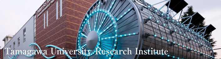 Tamagawa University Research Institute