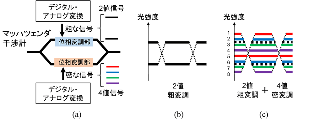 図1　(a)提案手法の構成と(b),(c)動作原理を示す光強度波形