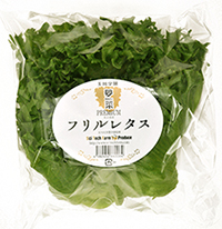 夢菜PREMIUM フリルレタス写真