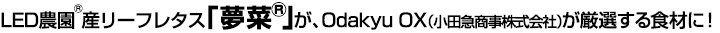 LED農園®産リーフレタス「夢菜®」がOdakyu OXが厳選する商品に選ばれました。