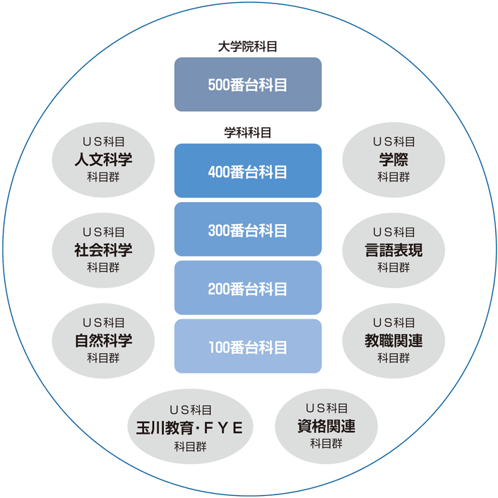 カリキュラム概要図