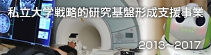 私立大学戦略的研究基盤形成支援事業 2013~2017