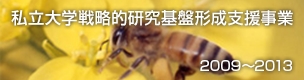 私立大学戦略的研究基盤形成支援事業 2009~2013